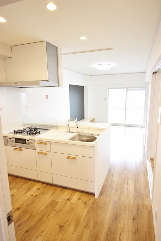 f:id:haucomi:20160528091109j:image:w360