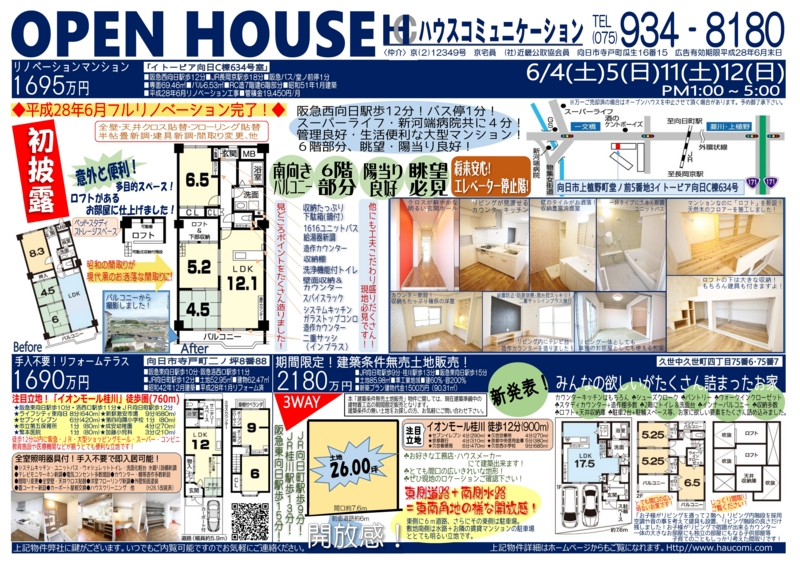 f:id:haucomi:20160603203651j:image:w640