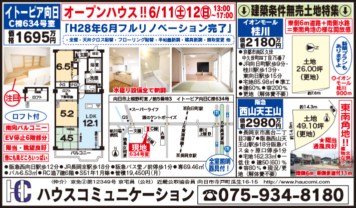 f:id:haucomi:20160607192506j:image:w640