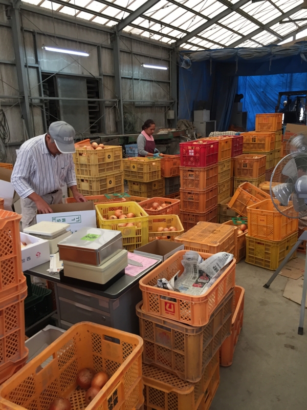 f:id:haucomi:20160913132741j:image:w360