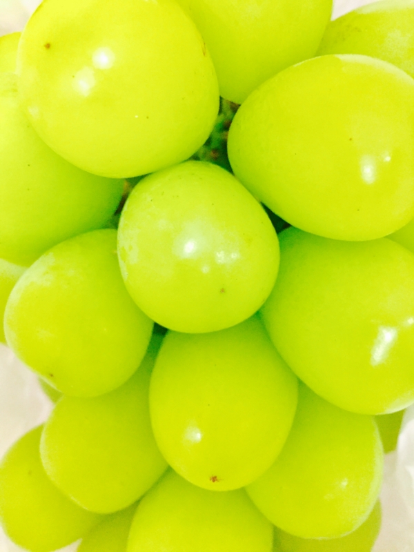 f:id:haucomi:20161003163641j:image:w360