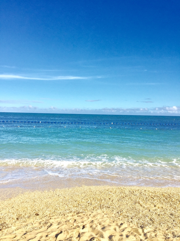 f:id:haucomi:20161018083832j:image:w360 f:id:haucomi:20161018083832j:image:w360