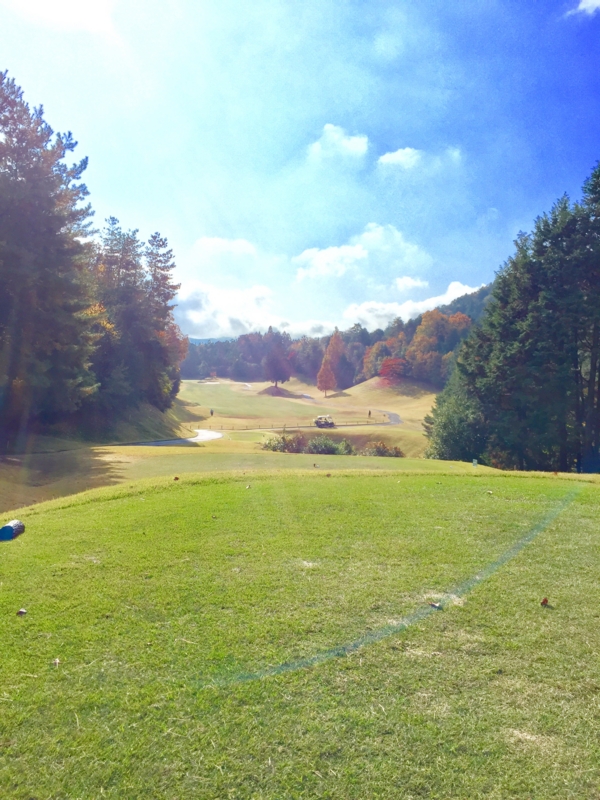 f:id:haucomi:20161122101741j:image:w360 f:id:haucomi:20161122101741j:image:w360