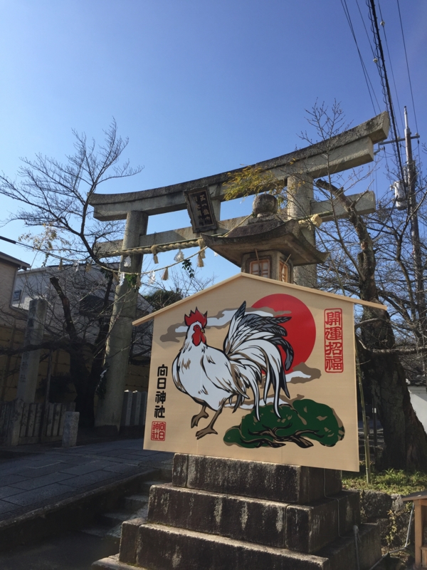 f:id:haucomi:20161231120130j:image:w640