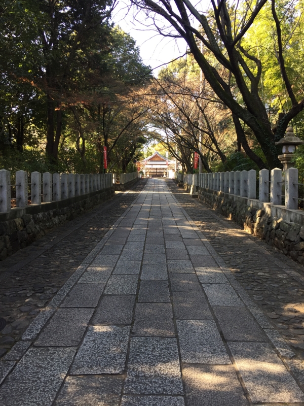 f:id:haucomi:20161231120355j:image:w640