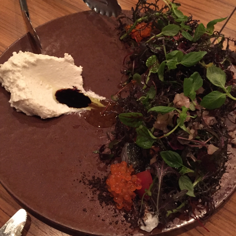 f:id:haucomi:20170106183114j:image:w640