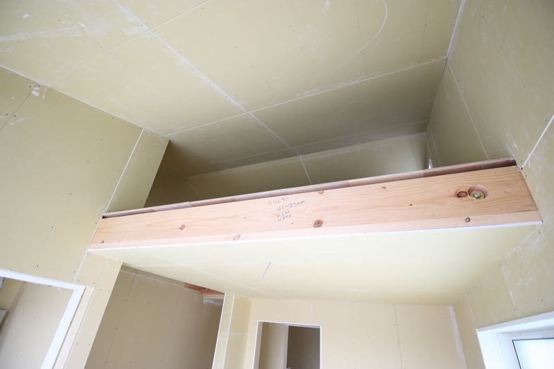 f:id:haucomi:20170109101304j:image:w640