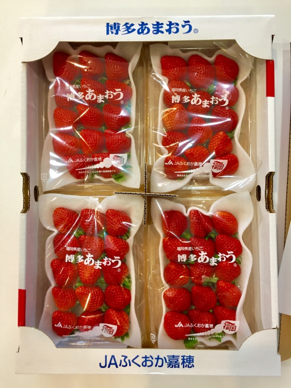 f:id:haucomi:20170121161154j:image:w640