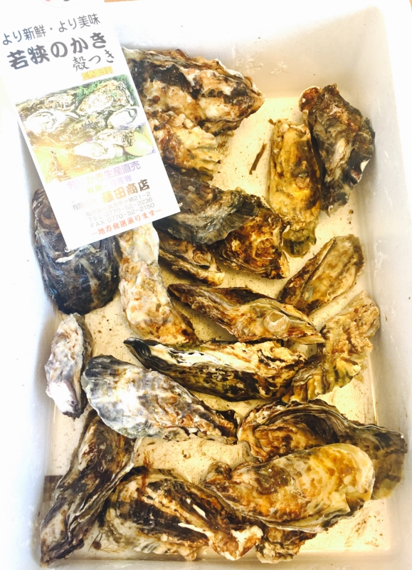 f:id:haucomi:20170125094436j:image:w360