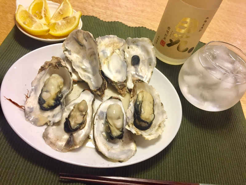 f:id:haucomi:20170125231749j:image:w640