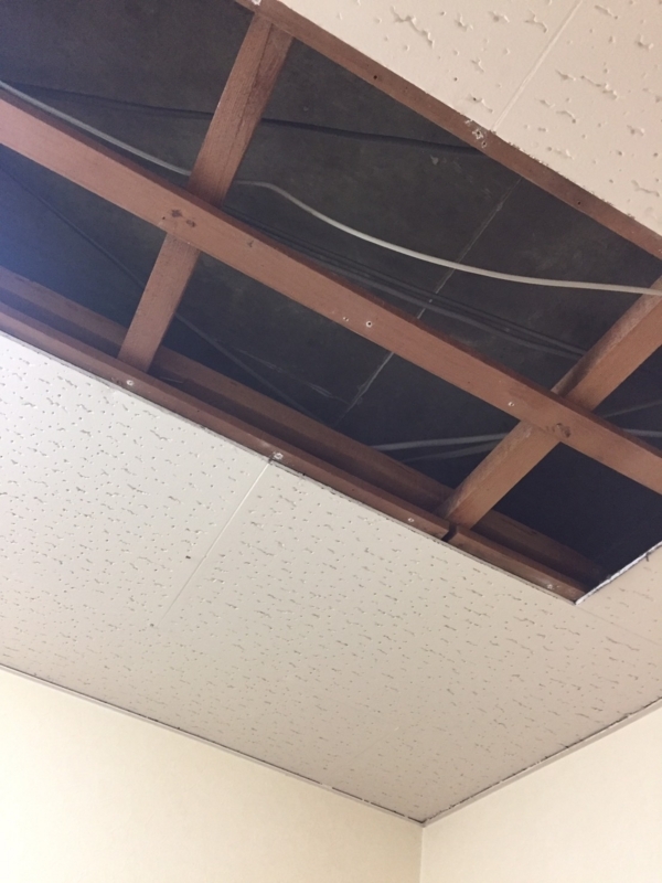 f:id:haucomi:20170708171228j:image:w640