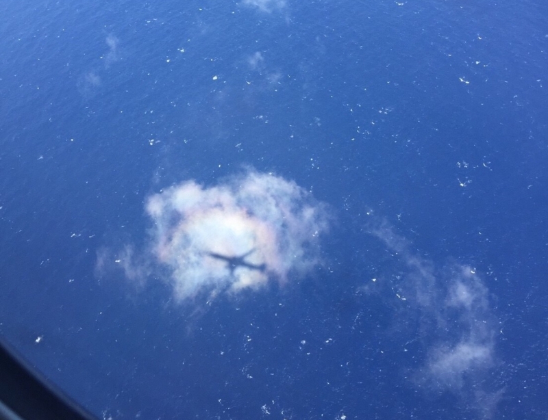 f:id:haucomi:20171011232956j:image:w640