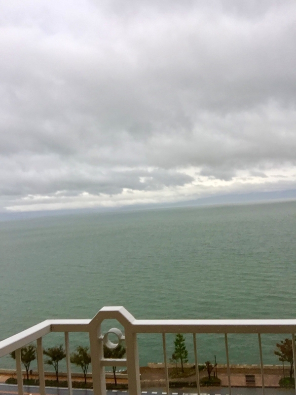 f:id:haucomi:20171025072251j:image:w640