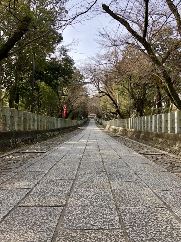 f:id:haucomi:20180131130402j:image:w640