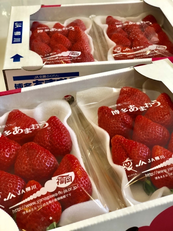 f:id:haucomi:20180218150715j:image:w640