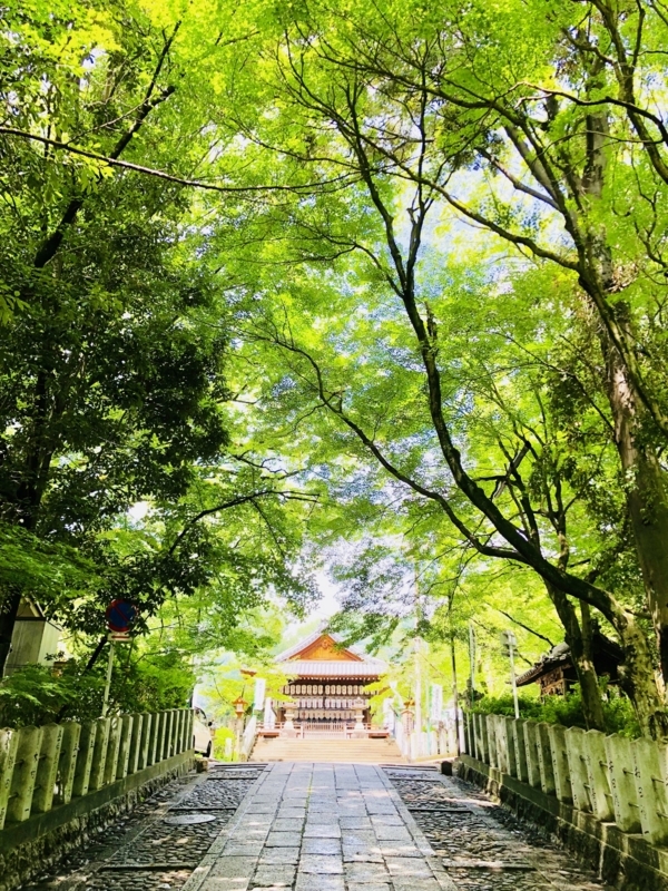 f:id:haucomi:20180630101414j:image:w640