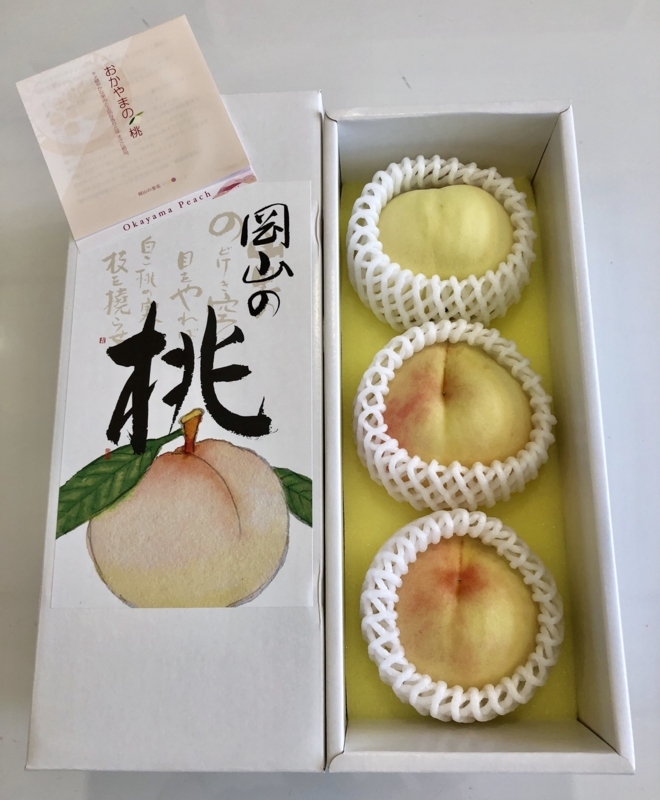 f:id:haucomi:20180719100001j:image:w640