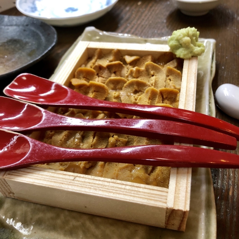 f:id:haucomi:20180723200037j:image:w640