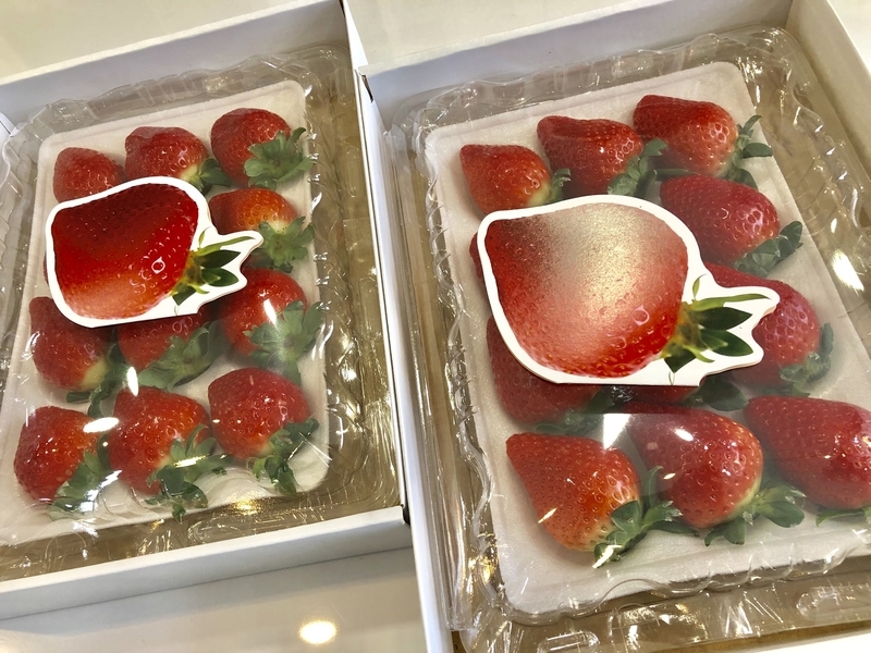 f:id:haucomi:20190105151338j:image:w640