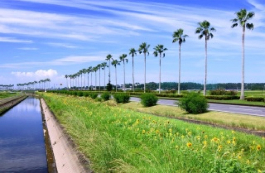 f:id:haucomi:20190519131801j:image