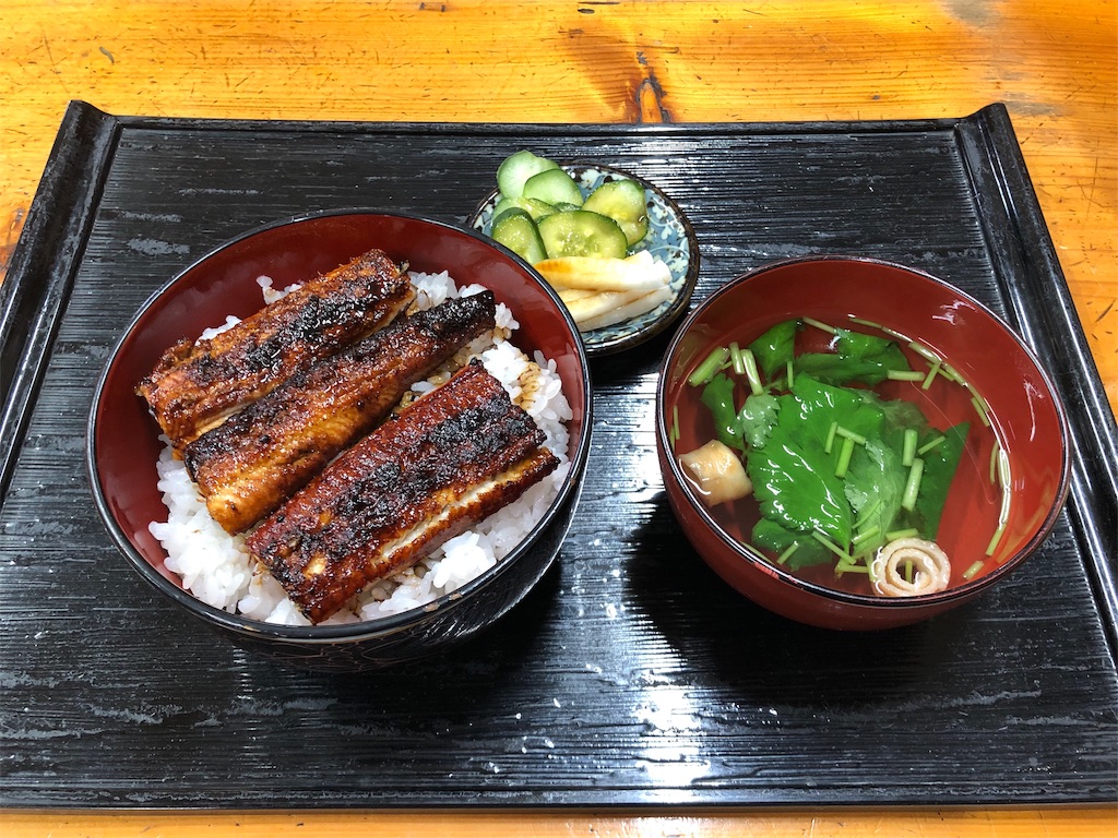 f:id:haucomi:20190522234625j:image
