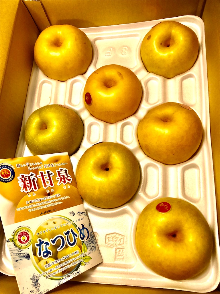 f:id:haucomi:20200902220629j:image