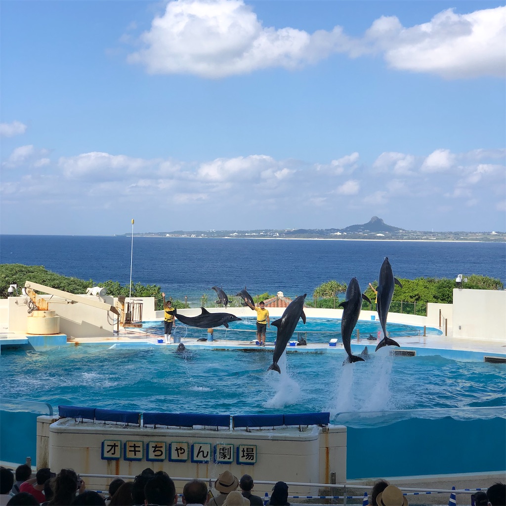 f:id:haucomi:20201014063020j:image