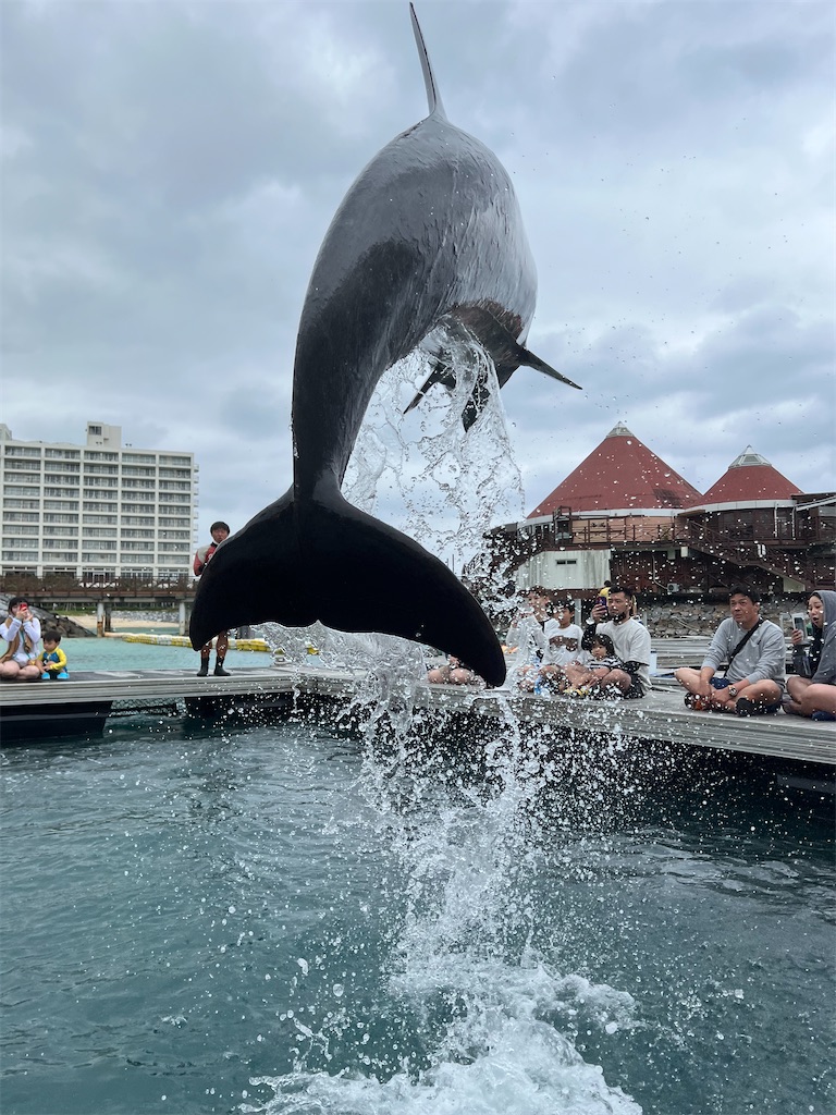 f:id:haucomi:20221019142748j:image