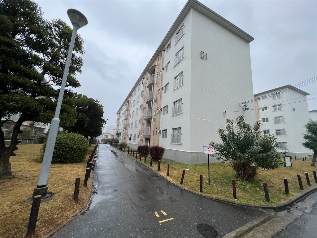 f:id:haucomi:20230219075633j:image