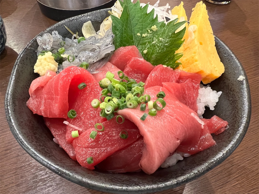 f:id:haucomi:20230516155637j:image