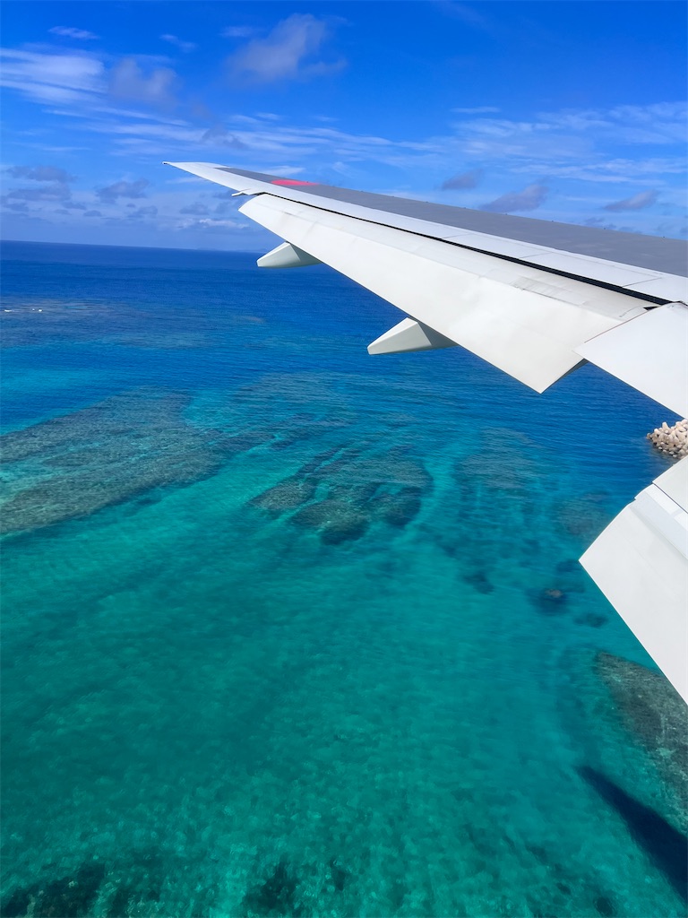 f:id:haucomi:20231009212556j:image f:id:haucomi:20231009212556j:image