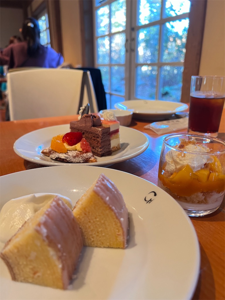 f:id:haucomi:20231213180401j:image