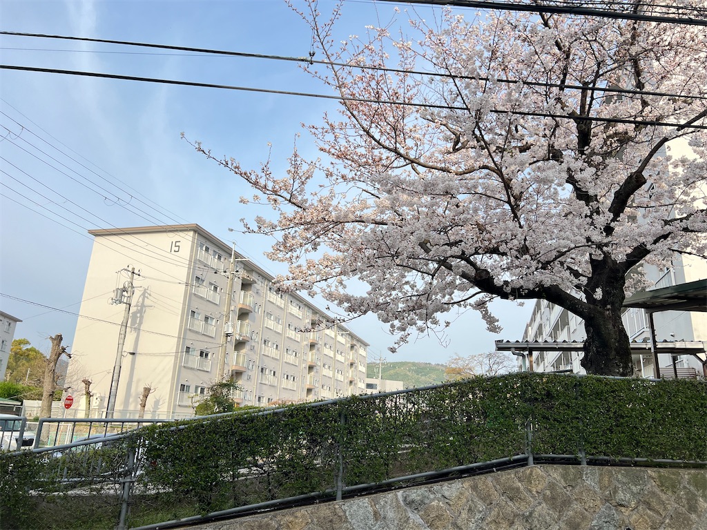 f:id:haucomi:20240406071445j:image