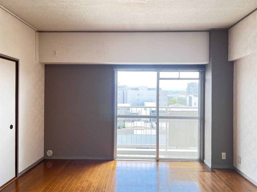 f:id:haucomi:20240610094454j:image