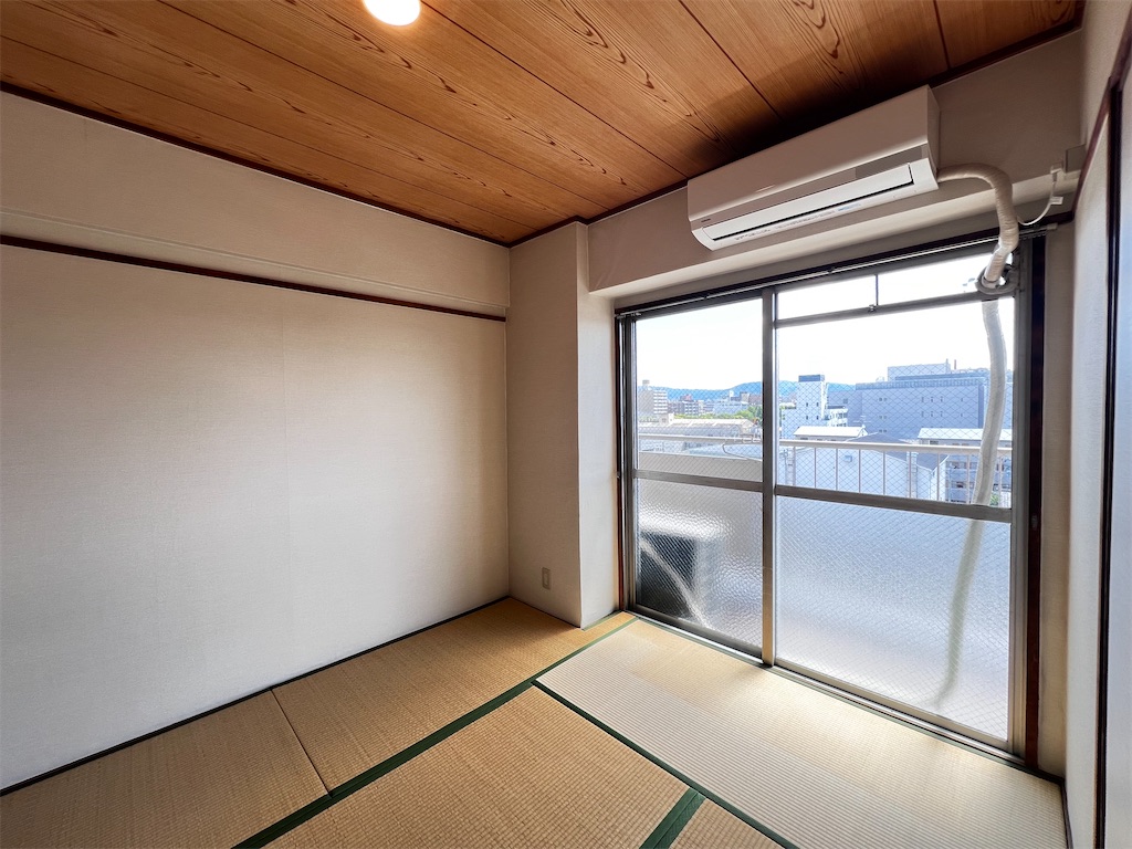 f:id:haucomi:20240610094457j:image