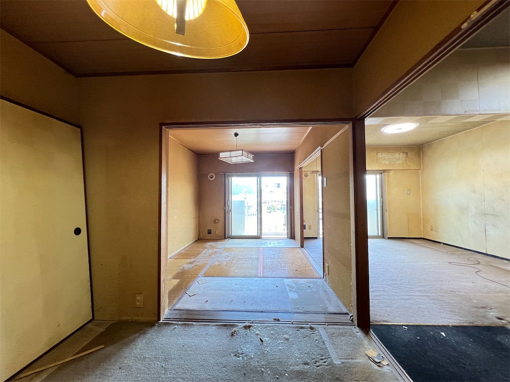 f:id:haucomi:20240621154221j:image