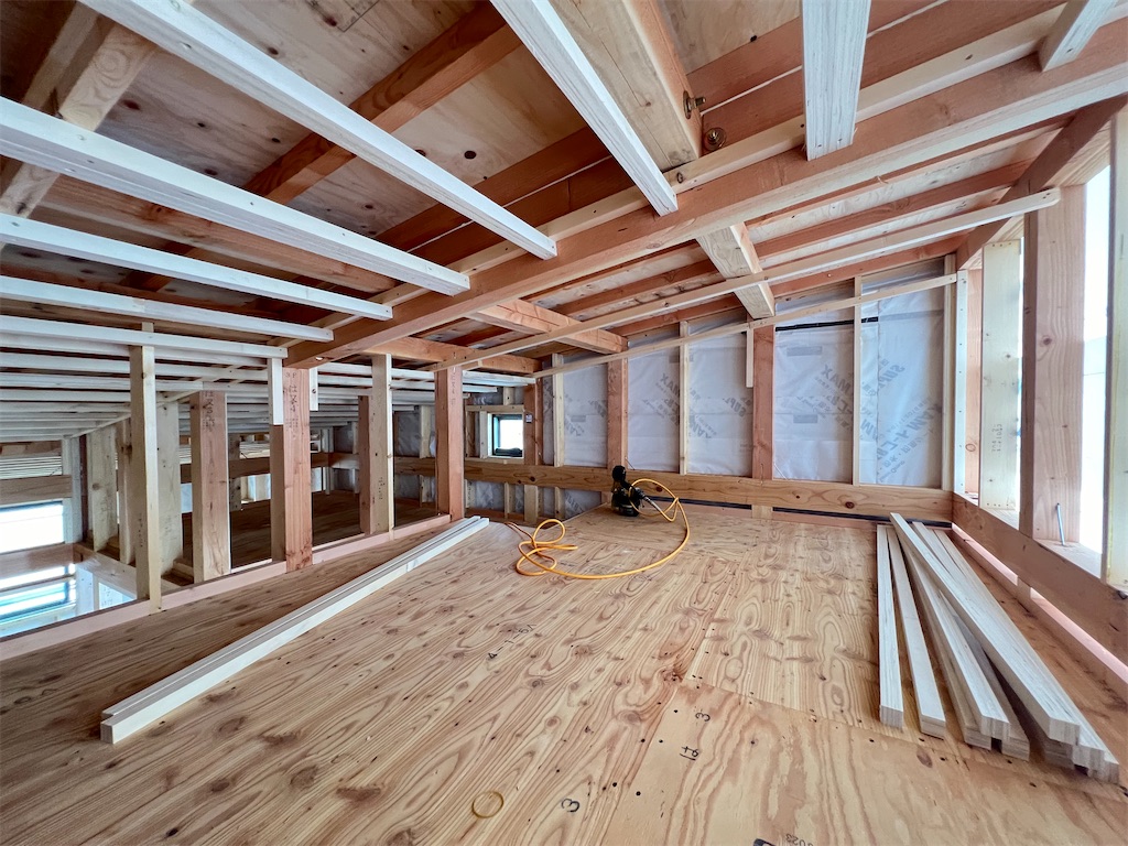 f:id:haucomi:20240625115020j:image