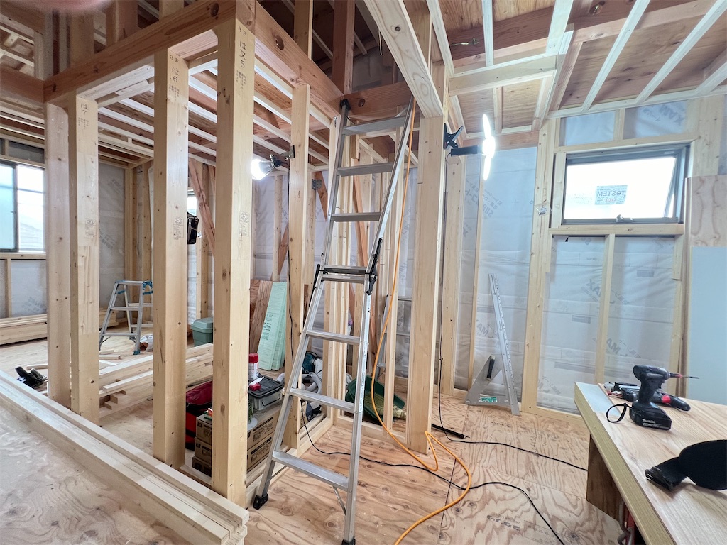 f:id:haucomi:20240625115027j:image