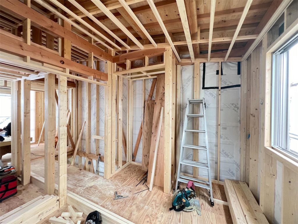 f:id:haucomi:20240625115041j:image