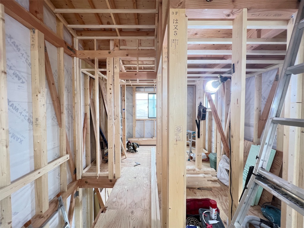 f:id:haucomi:20240625115049j:image