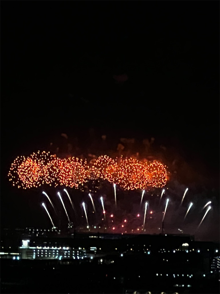 f:id:haucomi:20240626211946j:image