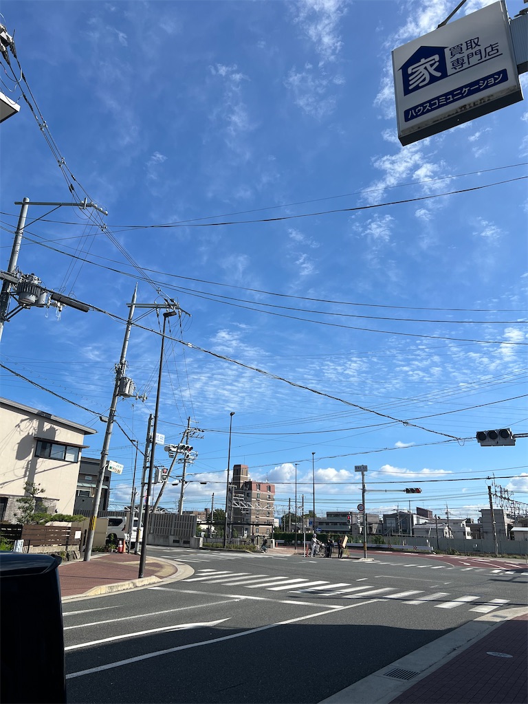 f:id:haucomi:20241010143017j:image