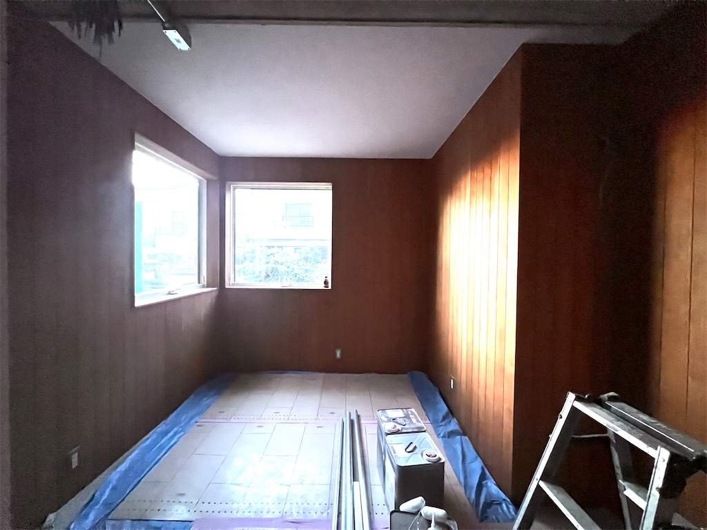 f:id:haucomi:20250119072757j:image