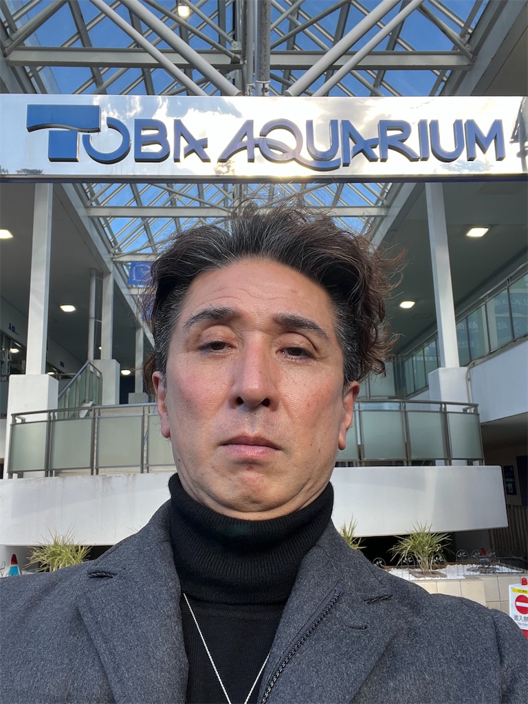 f:id:haucomi:20250129075929j:image