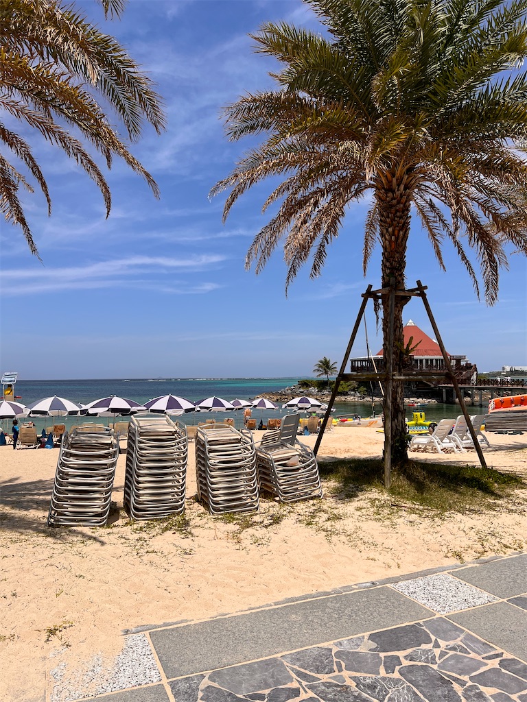 f:id:haucomi:20250416174105j:image