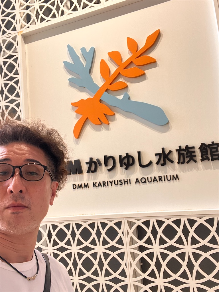 f:id:haucomi:20250417233517j:image