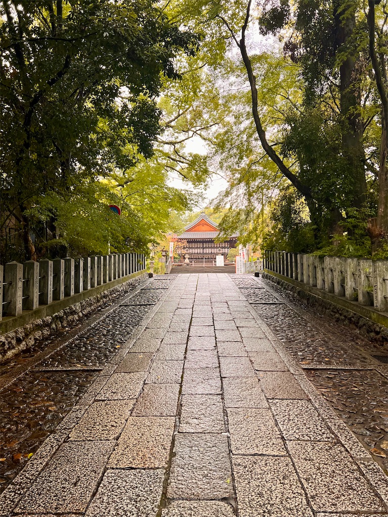 f:id:haucomi:20251031125059j:image f:id:haucomi:20251031125059j:image