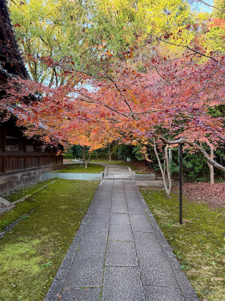 f:id:haucomi:20251130085249j:image