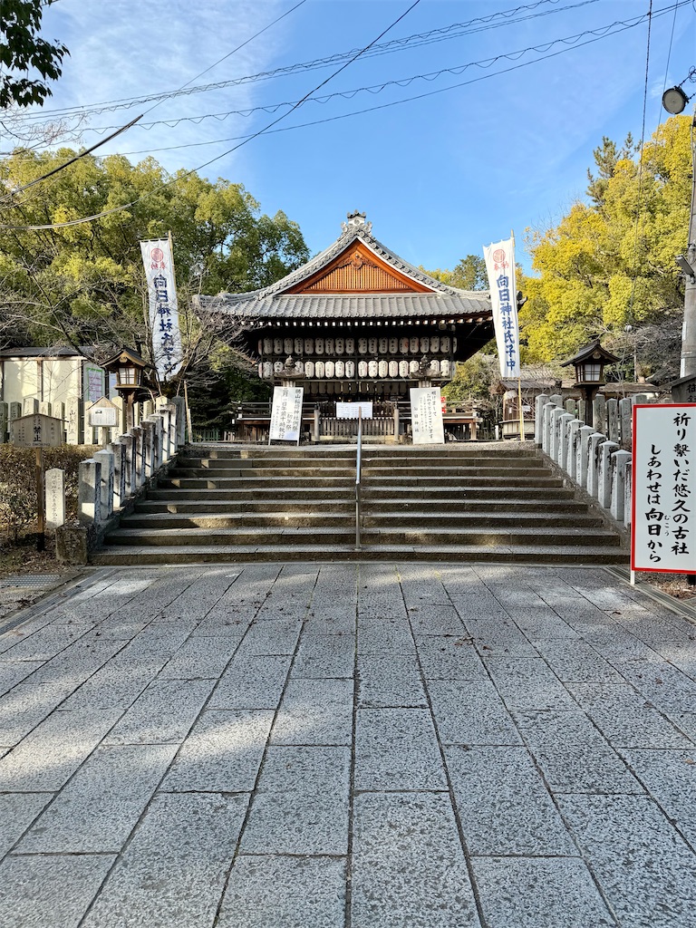 f:id:haucomi:20251231185231j:image