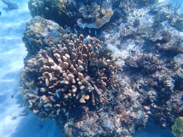 f:id:haurharu:20231119144153j:image